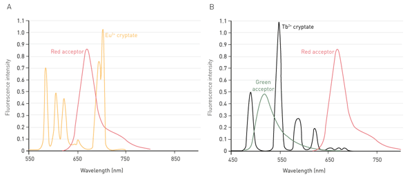 图 6：HTRF 供体与受体发射光谱的组合。A）铕穴状化合物及其红色受体的发射光谱；B）铽穴状化合物及其红色、绿色受体的发射光谱。