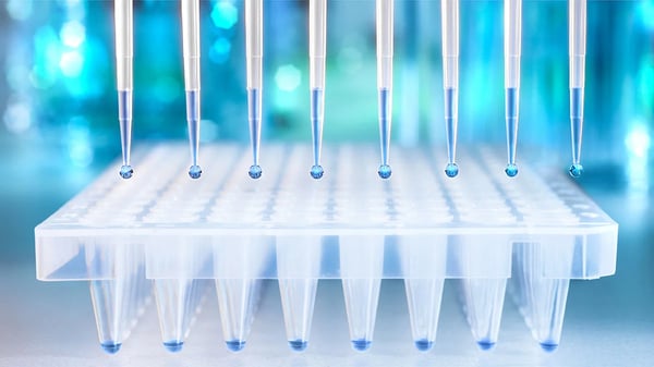 图 5：96 孔 PCR 专用微孔板。